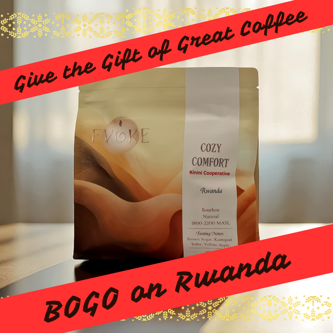 Cozy Comfort Holiday BOGO