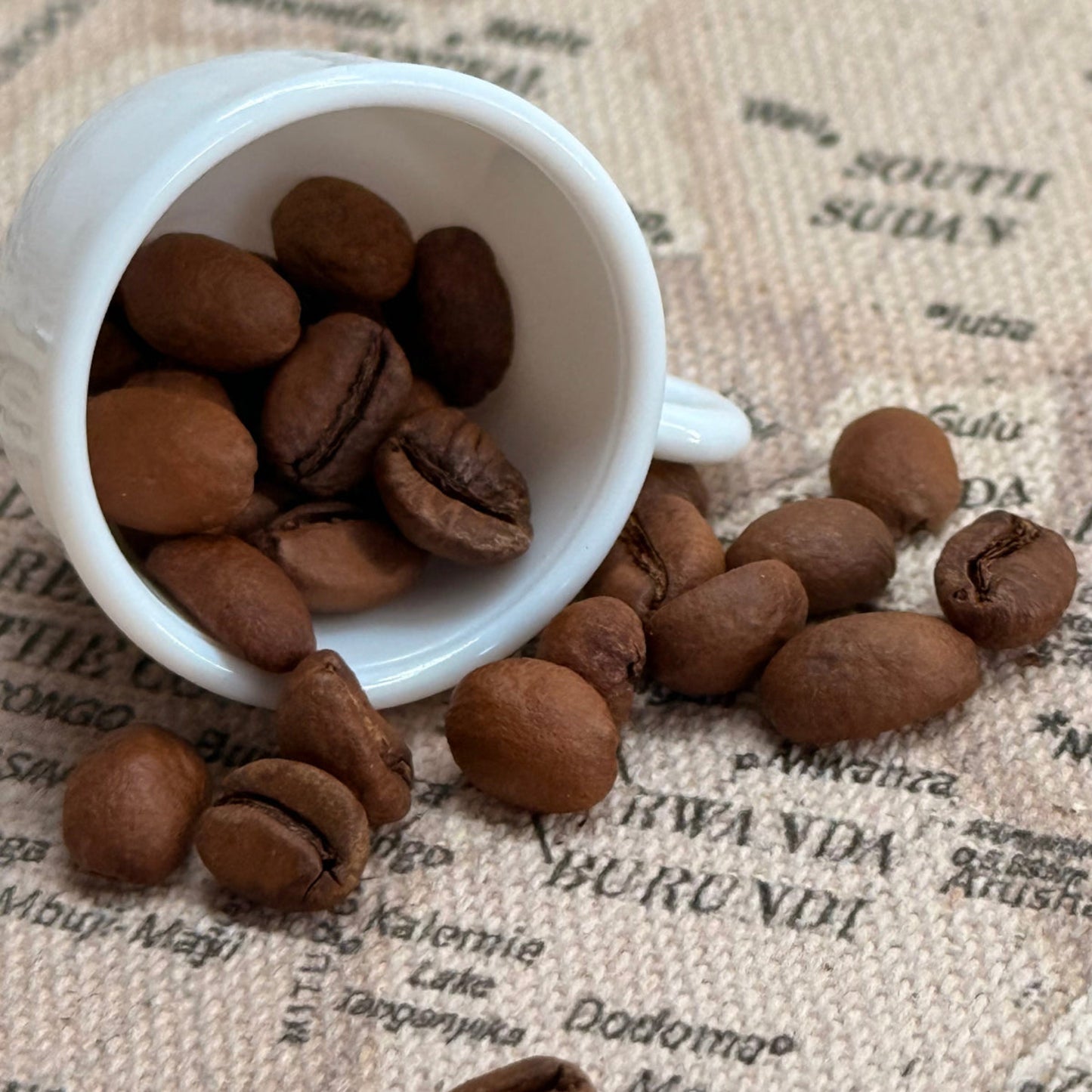 Evoke Coffee Rwanda