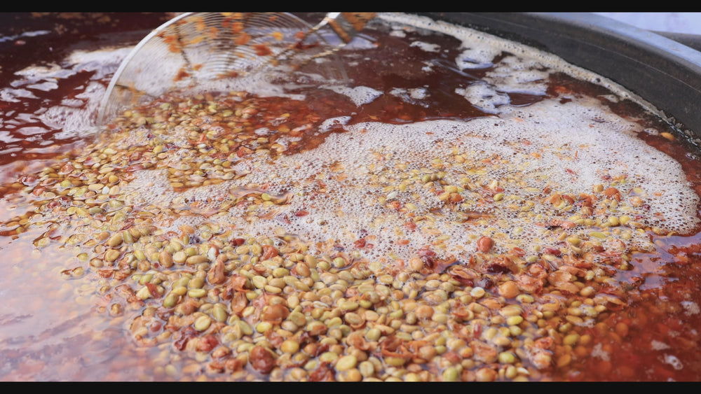 Fermentation Project - collab with James Hoffmann